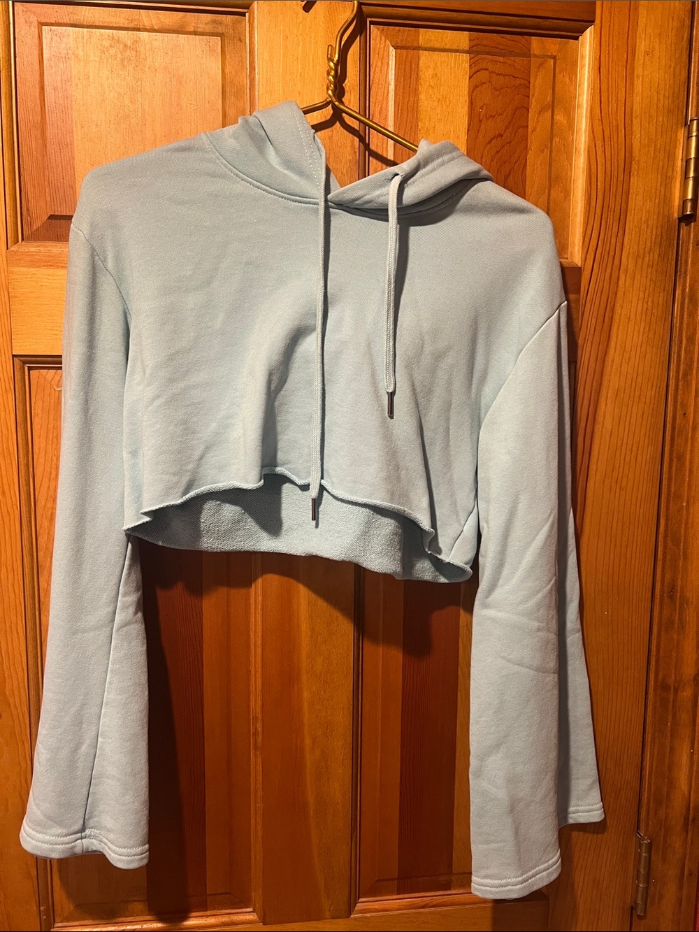 Forever 21 Cropped Light Blue Hoodie with Drawstring
